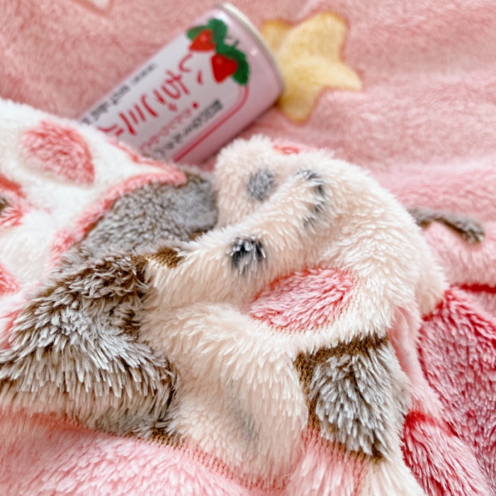 91家纺网 家纺一手货源 找家纺 川悦生活 2020新款雪花绒四件套 城堡女孩