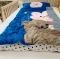 91家纺网 家纺一手货源 找家纺 美乐迪  2020新款儿童睡袋实拍图 躲猫猫