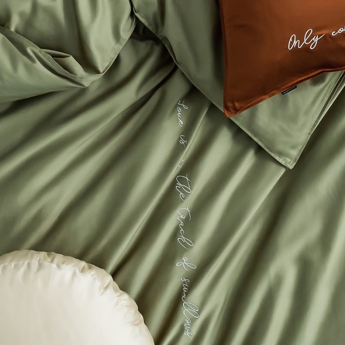 91家纺网 家纺一手货源 找家纺 狠狠爱 2020新款60S长绒棉刺绣撞色四件套 咖浅绿卡宾