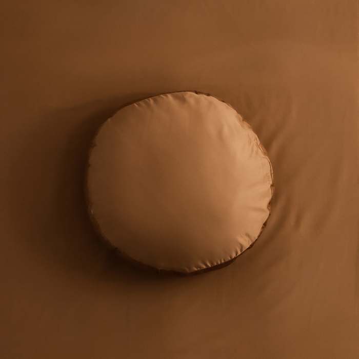 91家纺网 家纺一手货源 找家纺 （总）狠狠爱 2020新款圆型立体抱枕