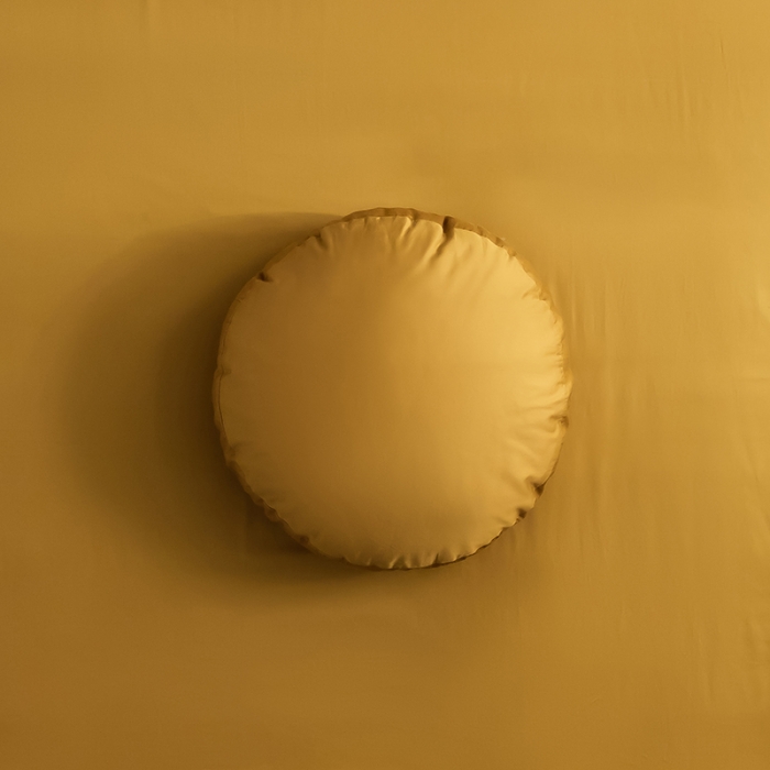 91家纺网 家纺一手货源 找家纺 （总）狠狠爱 2020新款圆型立体抱枕