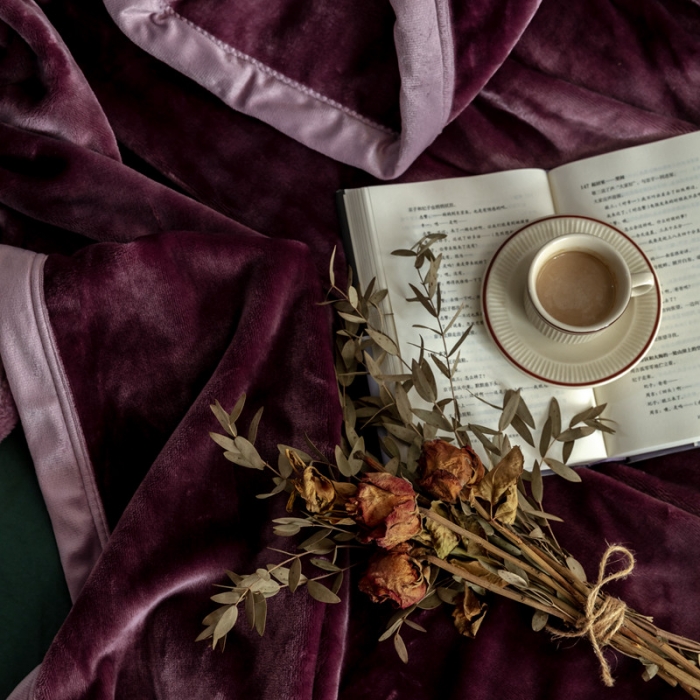 91家纺网 家纺一手货源 找家纺 来菲 25新款400克毛毯纯色加厚法兰绒盖毯多功能珊瑚绒毯子苜蓿天青紫