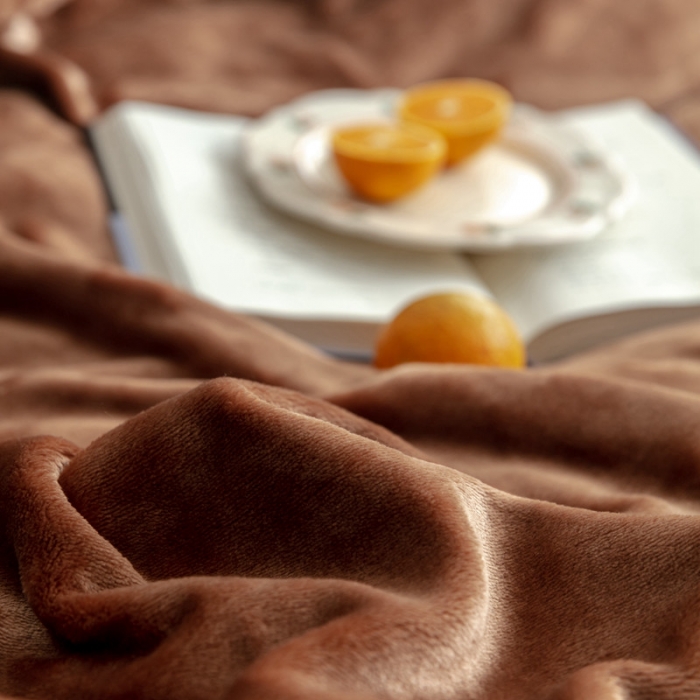 91家纺网 家纺一手货源 找家纺 来菲 25新款400克毛毯纯色加厚法兰绒盖毯多功能珊瑚绒毯子圣地亚哥咖