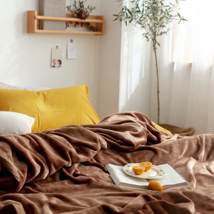 91家纺网 家纺一手货源 找家纺 来菲 25新款400克毛毯纯色加厚法兰绒盖毯多功能珊瑚绒毯子圣地亚哥咖