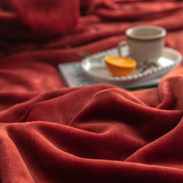 91家纺网 家纺一手货源 找家纺 来菲 25新款400克毛毯纯色加厚法兰绒盖毯多功能珊瑚绒毯子太妃陶土棕