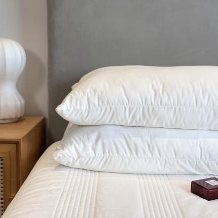 91家纺网 家纺一手货源 找家纺 （总）北纬27度 2020新款柔赛丝臻品多功能枕芯