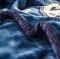 91家纺网 家纺一手货源 找家纺 绒朵 2021新款拉舍尔毛毯 盛夏花开-深海蓝