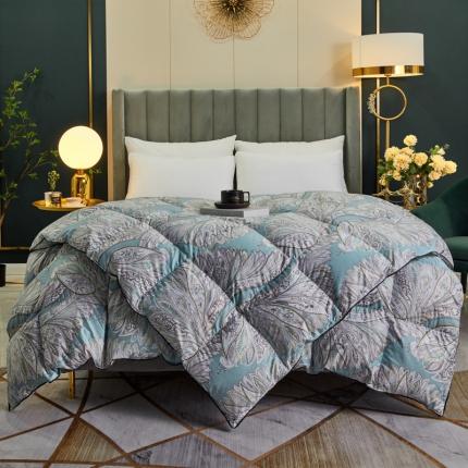 91家纺网 家纺一手货源 找家纺 （总）2025新款60支柔赛丝印花羽绒被冬被被子被芯