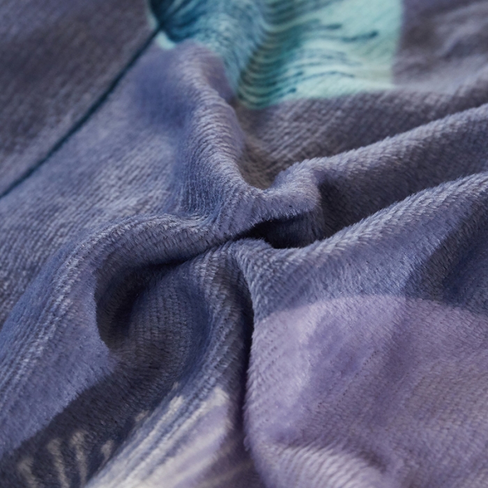 91家纺网 家纺一手货源 找家纺 迷仙巢 2020新款160克法莱绒印花四件套 蒲公英