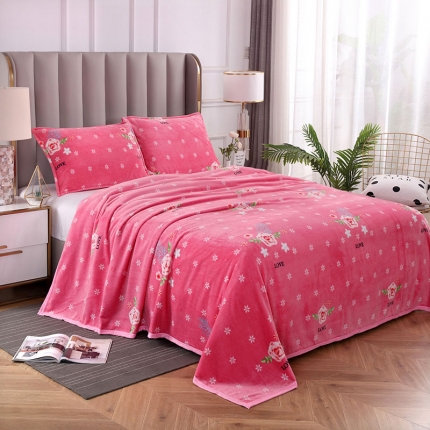 91家纺网 家纺一手货源 找家纺 2025总高克重赋雅-加厚云貂绒毛毯双面绒休闲毯 法莱绒枕套床单盖毯