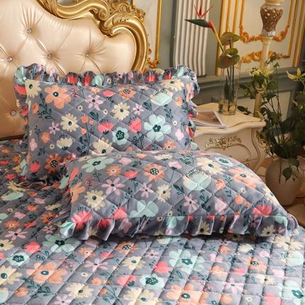 宜凡家纺 2021新款夹棉水晶绒枕套一对 秘密花园