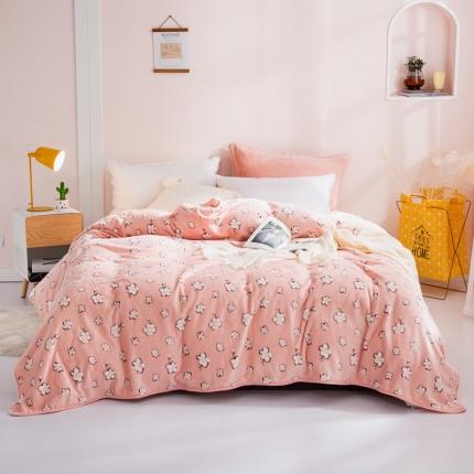 91家纺网 家纺一手货源 找家纺 来菲毛毯25新款270克毛毯印花加厚珊瑚绒毯子柔软法兰绒休闲毯鸡蛋花