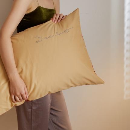 91家纺网 家纺一手货源 找家纺 （总）时光里 2020年秋冬A类50磨毛新品枕套