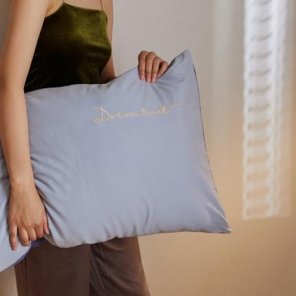 91家纺网 家纺一手货源 找家纺 （总）时光里 2020年秋冬A类50磨毛新品枕套