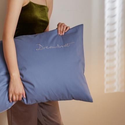 91家纺网 家纺一手货源 找家纺 （总）时光里 2020年秋冬A类50磨毛新品枕套