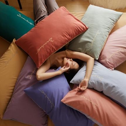 （总）时光里 2020年秋冬A类50磨毛新品枕套