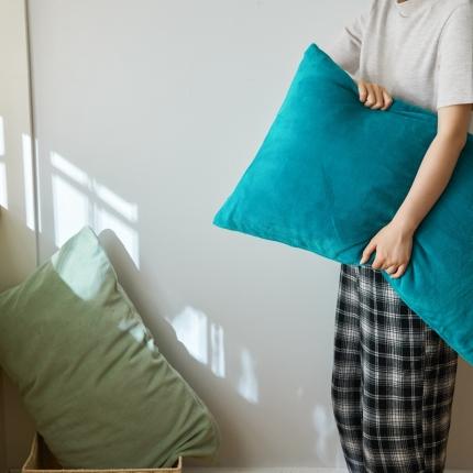 91家纺网 家纺一手货源 找家纺 （总）时光里 2020新款纯色230克牛奶绒单枕套