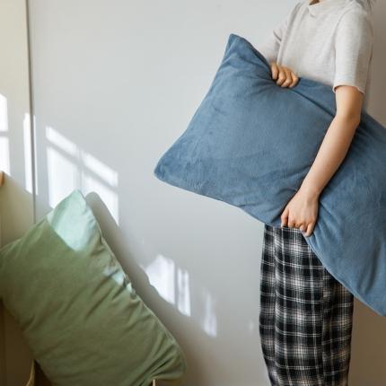 91家纺网 家纺一手货源 找家纺 （总）时光里 2020新款纯色230克牛奶绒单枕套