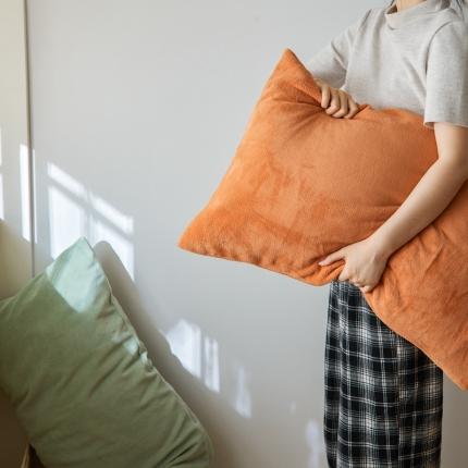 91家纺网 家纺一手货源 找家纺 （总）时光里 2020新款纯色230克牛奶绒单枕套