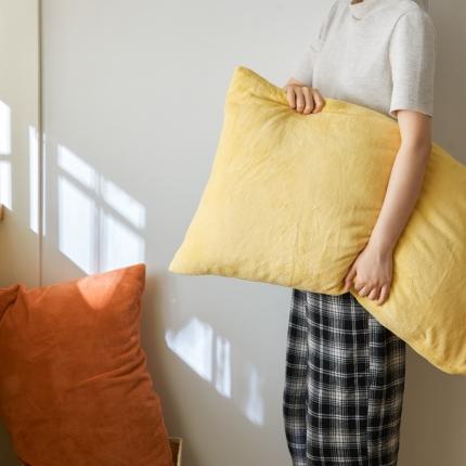 91家纺网 家纺一手货源 找家纺 （总）时光里 2020新款纯色230克牛奶绒单枕套