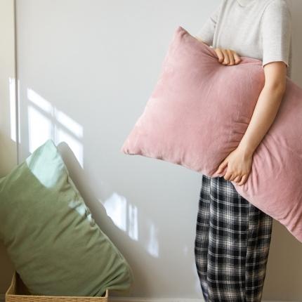 91家纺网 家纺一手货源 找家纺 （总）时光里 2020新款纯色230克牛奶绒单枕套