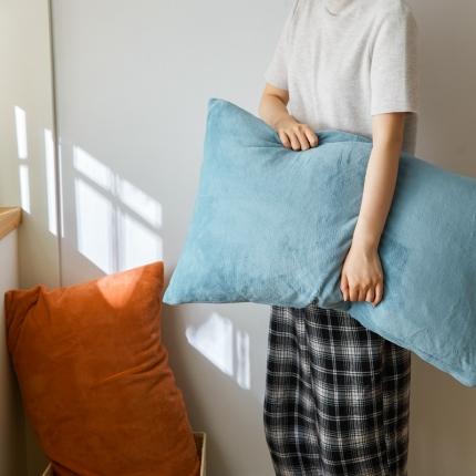 91家纺网 家纺一手货源 找家纺 （总）时光里 2020新款纯色230克牛奶绒单枕套