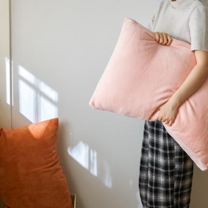 91家纺网 家纺一手货源 找家纺 （总）时光里 2020新款纯色230克牛奶绒单枕套