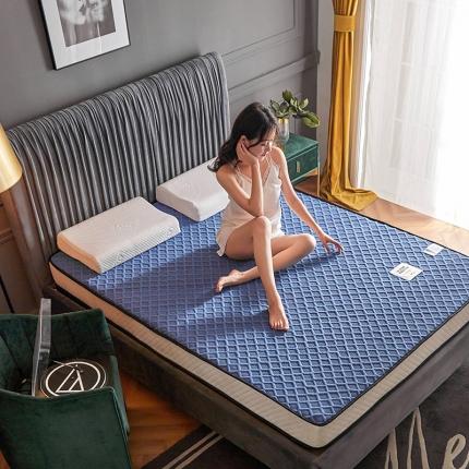 科普达 2020新款300克浮雕针织棉床垫 K02-03