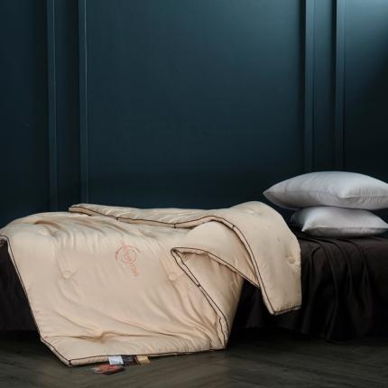 91家纺网 家纺一手货源 找家纺 桂雅居 2020秋冬新款碳纳米自热小黑被 香槟金