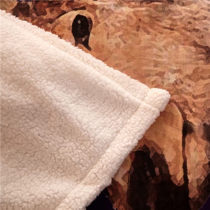 91家纺网 家纺一手货源 找家纺 北纬27度 2020新款羊羔绒多功能毯被套双用 鹿角