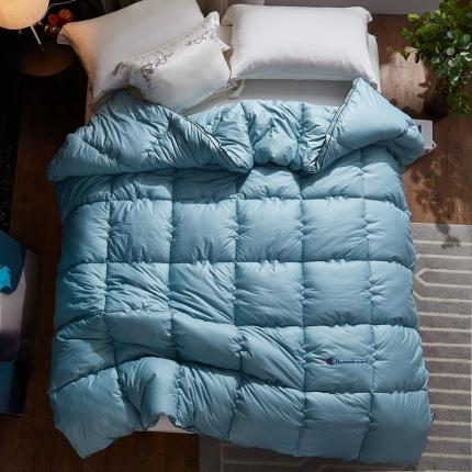 91家纺网 家纺一手货源 找家纺 （总）啊雅家居 2025新款柔赛丝保暖立体羽丝绒冬被