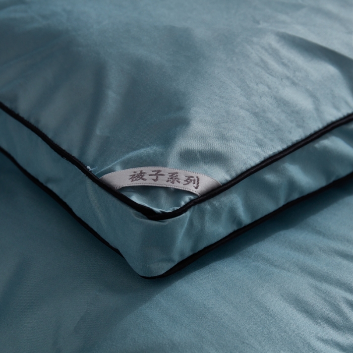 91家纺网 家纺一手货源 找家纺 啊雅家居 2025新款柔赛丝保暖立体羽丝绒冬被 水蓝色