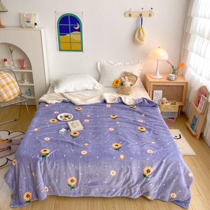 91家纺网 家纺一手货源 找家纺 （总）顾里2020新款ins网红少女心温暖牌羊羔绒毯