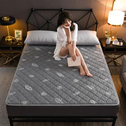 91家纺网 家纺一手货源 找家纺 可定做四季款5D有氧透气记忆棉床垫针织棉乳胶床褥子 枫叶灰