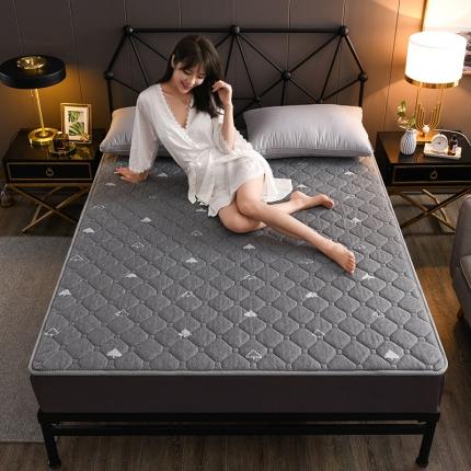 91家纺网 家纺一手货源 找家纺 可定做四季款5D有氧透气记忆棉床垫针织棉乳胶床褥子 小树