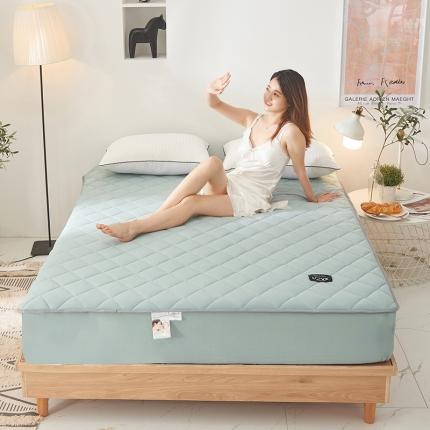 （总）宅部落 2020针织棉纯加棉床笠夹棉床垫保护罩