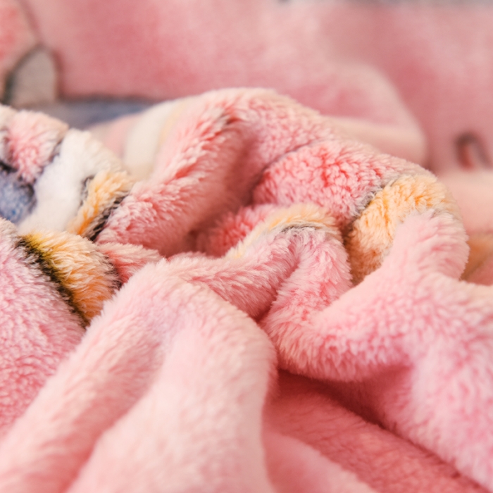 91家纺网 家纺一手货源 找家纺 甜之梦 2025新款310g雪花绒单品包边被套 小丸子