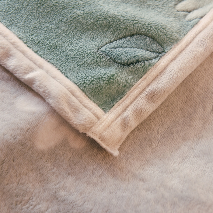 91家纺网 家纺一手货源 找家纺 甜之梦 2025新款310g雪花绒单品毛毯 浅绿之花