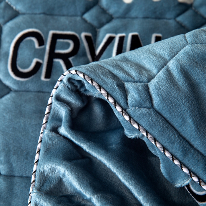 91家纺网 家纺一手货源 找家纺 纽缦 2020新款绒夹棉床裙 陌上花颜蓝