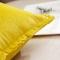 91家纺网 家纺一手货源 找家纺 枕芯真意 2020新款纯色荷兰绒抱枕压边 黄
