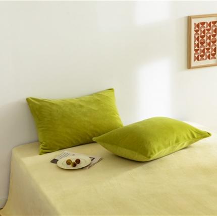 91家纺网 家纺一手货源 找家纺 棉眠 2020新款秋冬纯色牛奶绒单品枕套 牛油果绿