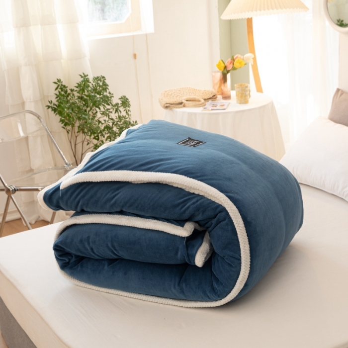 91家纺网 家纺一手货源 找家纺 （总）棉生活 2020新款纯色多功能加厚牛奶绒贝贝绒被套毯