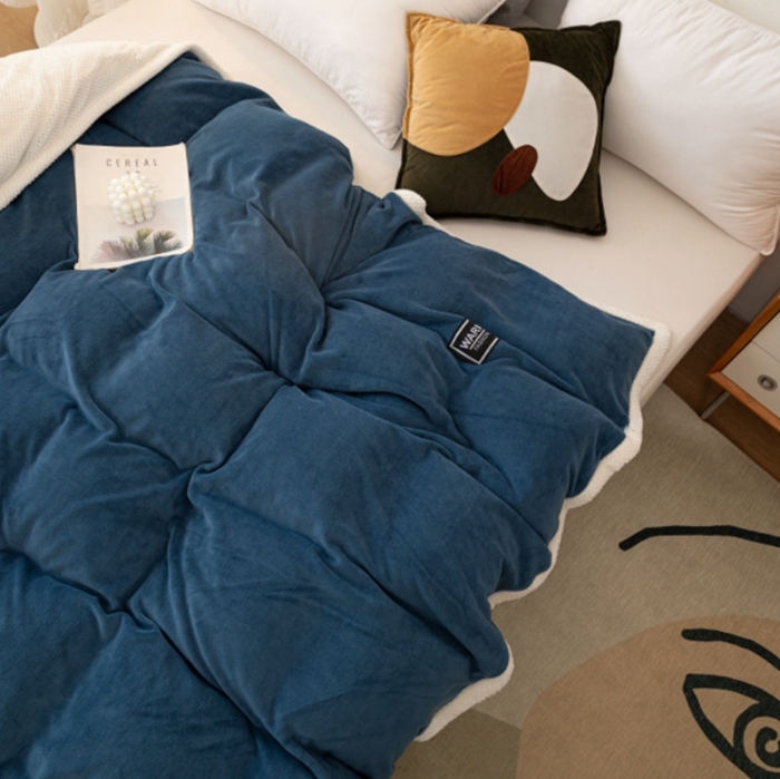 91家纺网 家纺一手货源 找家纺 （总）棉生活 2020新款纯色多功能加厚牛奶绒贝贝绒被套毯