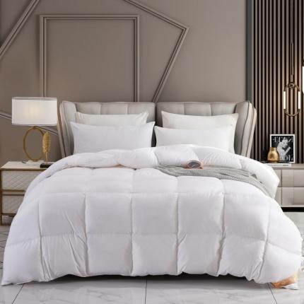 91家纺网 家纺一手货源 找家纺 （总）圣梦莱柔赛丝羽绒被芯冬被鹅绒被鸭绒被儿童95绒一件代发（凡质量问题由商家承担）