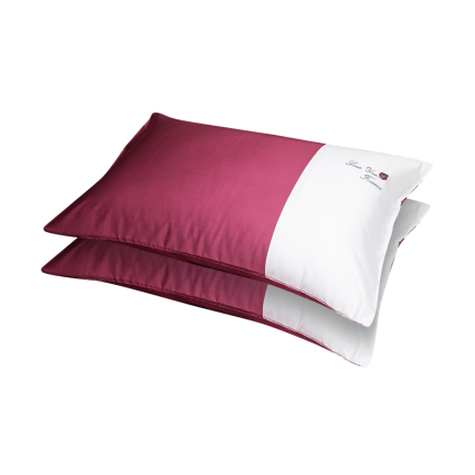 91家纺网 家纺一手货源 找家纺 （总）2023品乐60支拼色长绒棉贡缎刺绣枕套一对装