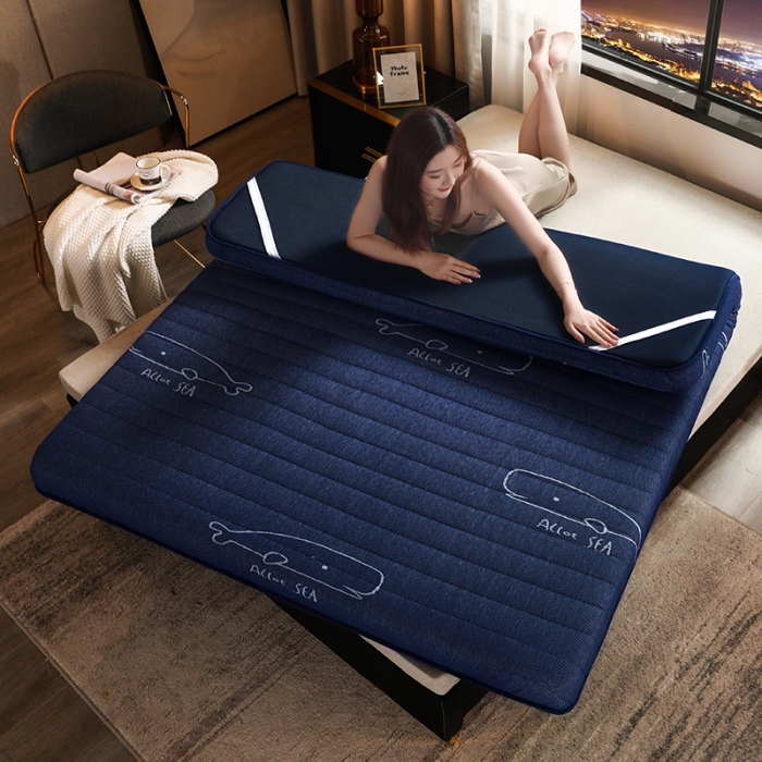 91家纺网 家纺一手货源 找家纺 欣罗兰垫业 2022新款三明治床垫 小蓝鲸