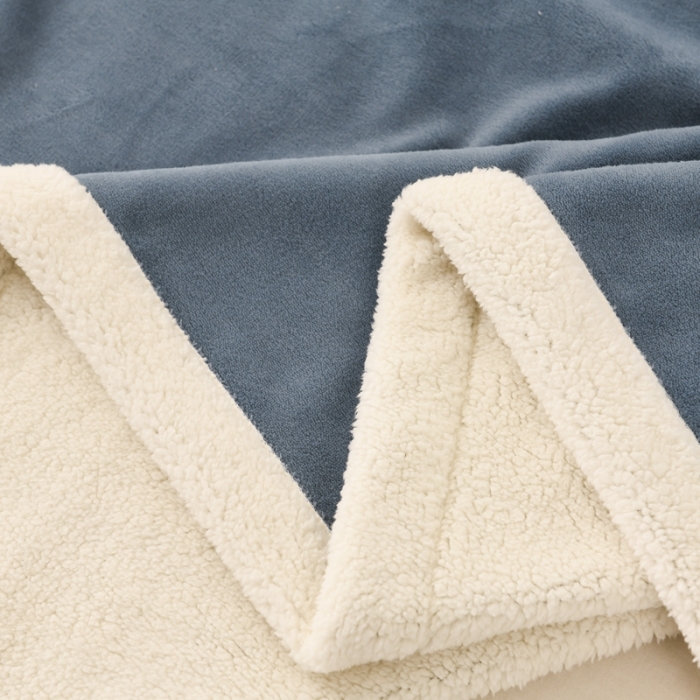 91家纺网 家纺一手货源 找家纺 朗莎家纺 2020新款羊羔绒+牛奶绒毛毯 神奇狗-宾利蓝