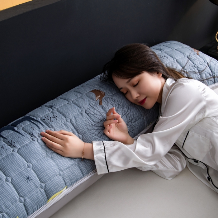 91家纺网 家纺一手货源 找家纺 圣比熊 防水枕套一对装双人枕套长枕套枕头套枕芯套深灰色-麋鹿