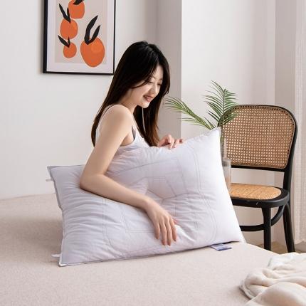 （总）定情阁家纺 2021新款创意羽丝定型枕