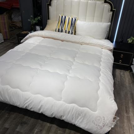 91家纺网 家纺一手货源 找家纺 匠心 2020新款第二代超柔大豆被 白色